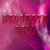 SudokuVN2014