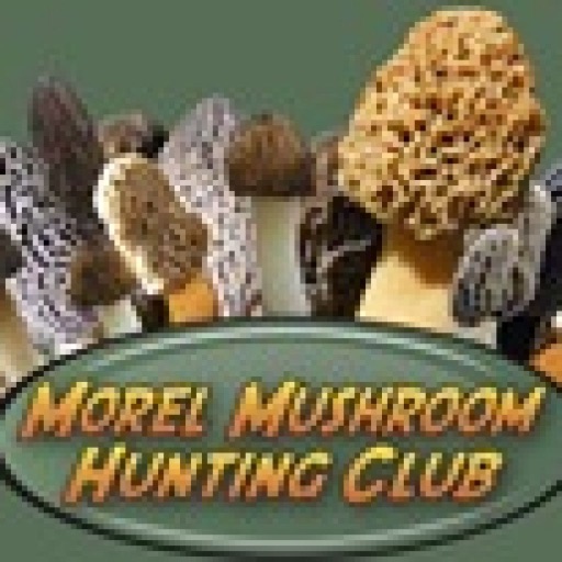Morel Mushroom Club icon