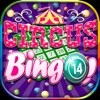 `` A High Flying Circus Bingo - Daub Free Blackout Cards For Instant Jackpot