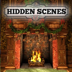 Activities of Hidden Scenes - Happy Christmas