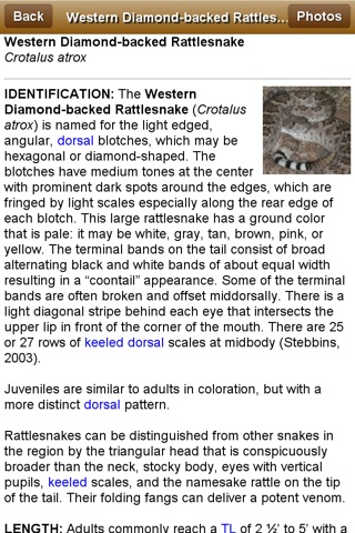 Southern California Reptiles and Amphibians screenshot 4