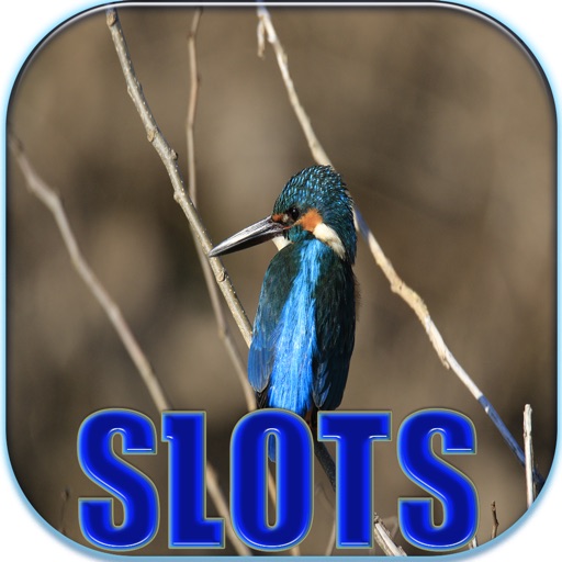 Birds Flying Slots - FREE Slot Game King of Las Vegas Casino icon