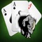 Let It Rhino - Best Twist Poker Five Card Hand Las Vegas Casino Strategy Journey