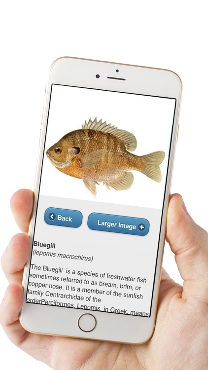 Fish ID Pro