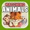 Will you make it into TOP20 highscores in this nice casual puzzle matching game