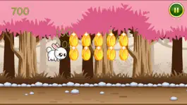 Game screenshot Bunny Run Lite - Endless Runner hack