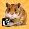 Get hamstergram - make people hamsters instantly and more! for iOS, iPhone, iPad Aso Report