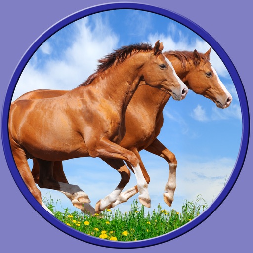 my favorite horses - no ads games for kids icon