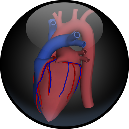 3D Road Map to the Human Heart