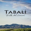 Viña Tabali