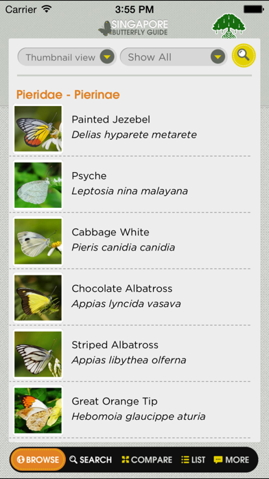 How to cancel & delete Butterflies of Singapore (NSS) from iphone & ipad 2