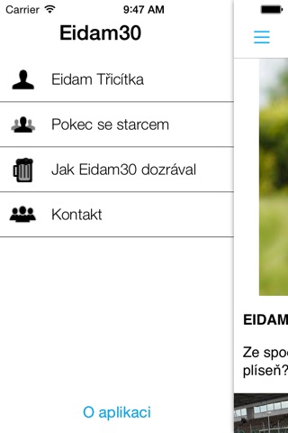 Eidam30 screenshot 2