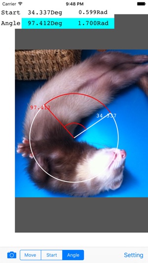 Photo Protractor(圖1)-速報App