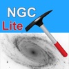 NGC Miner Lite
