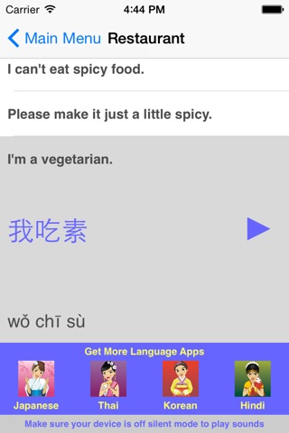 Speak Chinese Travel Phrases screenshot 4