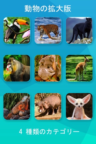 Safari and Jungle Animal Picture Flashcards for Babies, Toddlers or Preschool screenshot 4