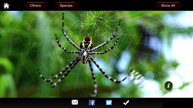 Spiders eGuide(圖3)-速報App