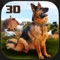 Village Farmer Dog 3D Simulator