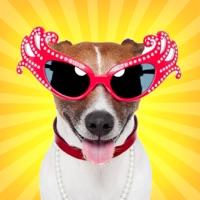 Image Editor for Instagram. pour PC