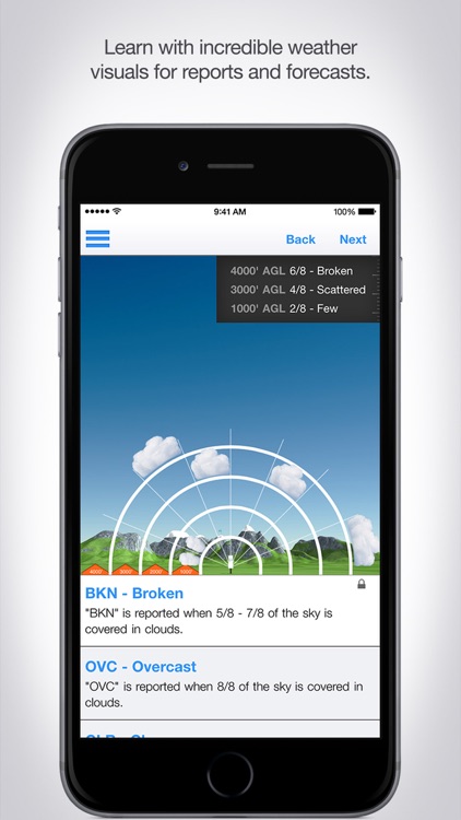 Aviation Weather Reports and Forecasts