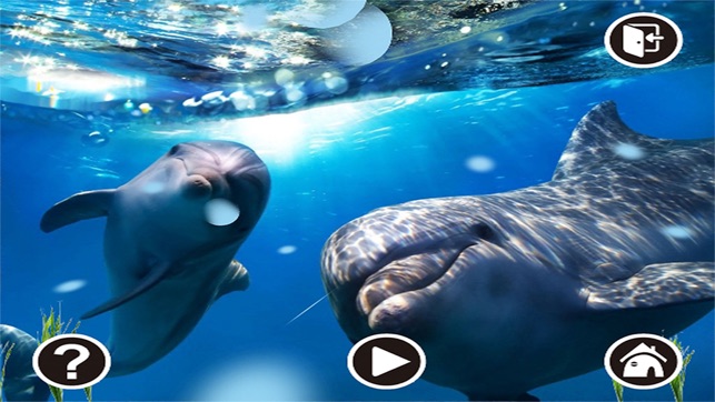 3D AR MarineLife(圖4)-速報App