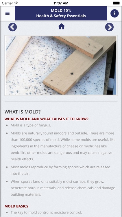 Mold 101: Health & Safety App