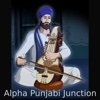 Alpha Punjabi Junction