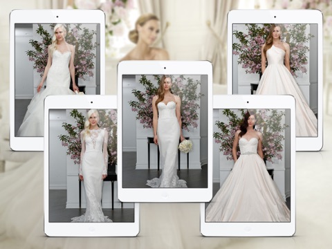 Wedding Dresses and Fashion Ideas for iPad screenshot 2