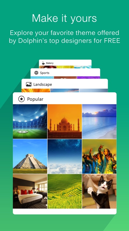 Dolphin Web Browser Pro –Secure Search Explorer