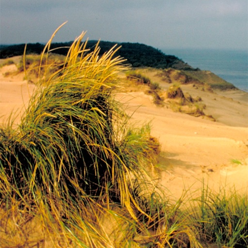 Indiana Dunes National Lakeshore wallpapers icon