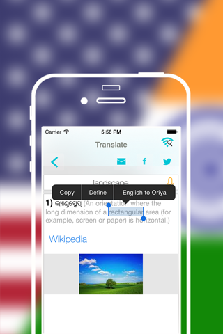 Offline Oriya to English Language Dictionary screenshot 3