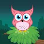 Owlery - learn english words by playing with our feathery friends