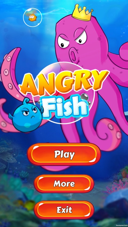 Angry Fish The Puzzle