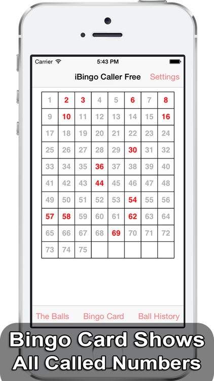 iBingo Caller Free - Play Bingo at Home with Friends! screenshot-3