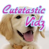 Cutetastic Vidz