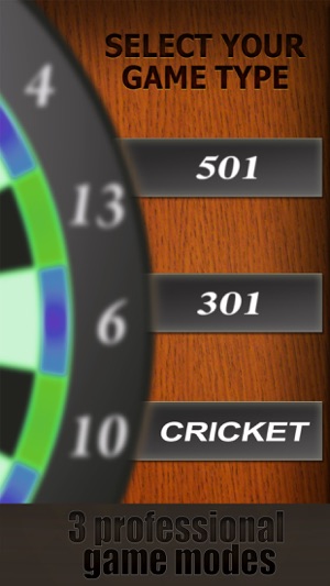 Professional Darts 3D