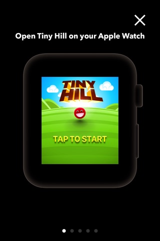 Tiny Hill screenshot 3