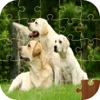 Puppy Dog Jigsaw Puzzle