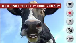 Game screenshot Talking Cow mod apk