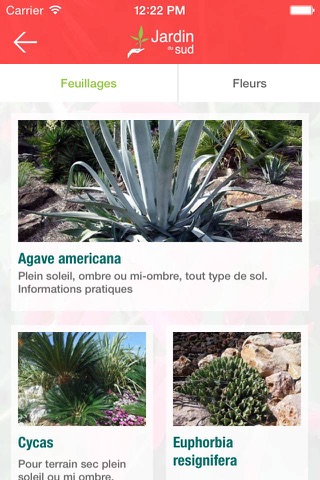 Jardin du Sud screenshot 3