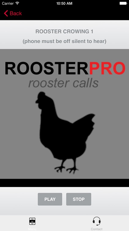 REAL Rooster Sounds and Rooster Crowing