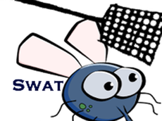 Activities of BugME - Swat The Fly