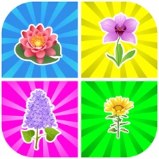 Activities of Matching Pairs Flowers-Flashcard Game For Toddlers