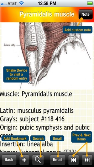 Human Muscle Encyclopedia Plus+(圖5)-速報App