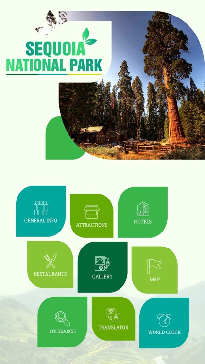 Sequoia National Park Travel Guide