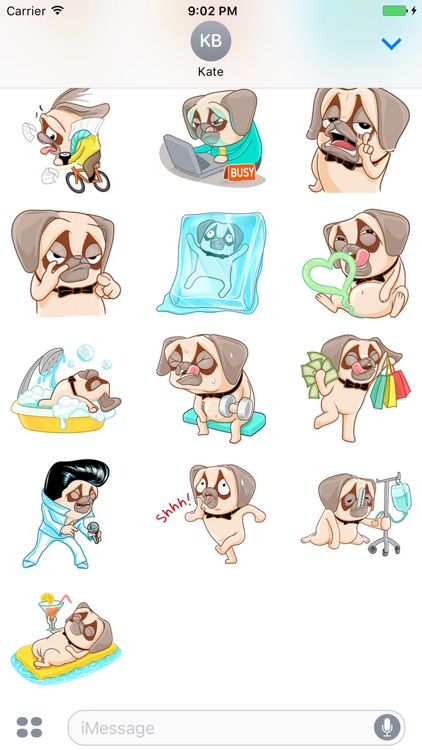 Crazy Pug - Cute dog stickers for iMessage