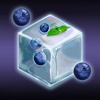 Iceberry - Addicting Time Killer Game