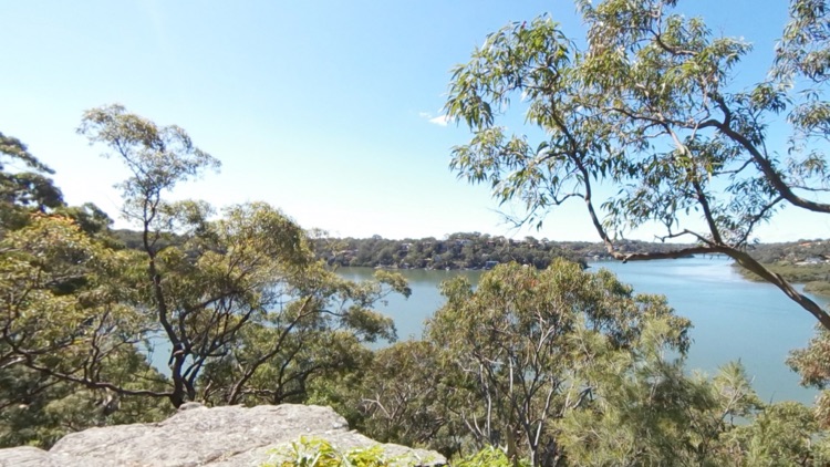 VR Bushwalk