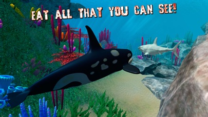 How to cancel & delete Angry Killer Whale Orca Attack from iphone & ipad 4