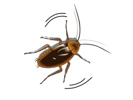 Say 'hello' to Moving Cockroach
